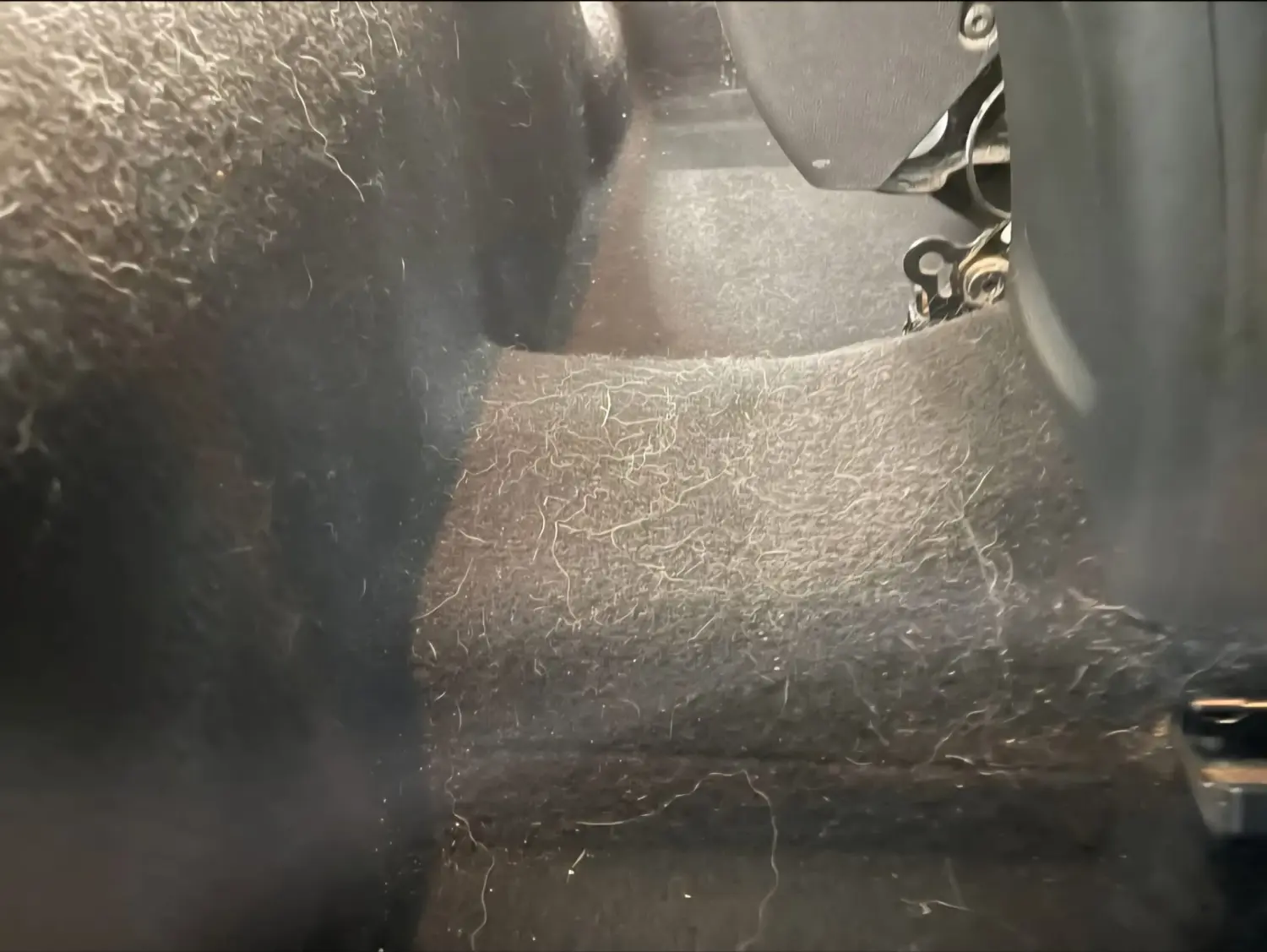 Enalp Garage -  Entfernen von Tierhaaren aus dem Auto